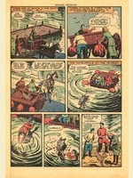 31