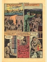 43