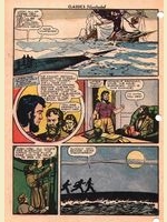 43