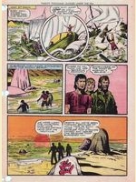 46