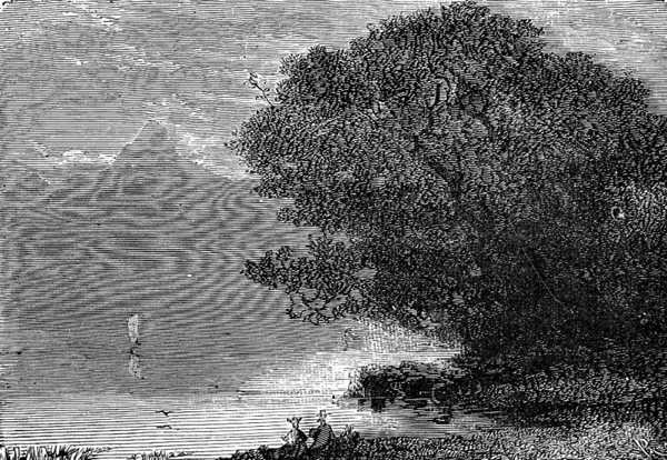 They walked on the banks of the lake