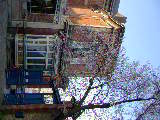 0320-180509.jpg