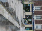 0319-123430.jpg