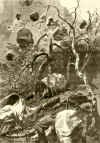 vol_56.jpg (142916 bytes)